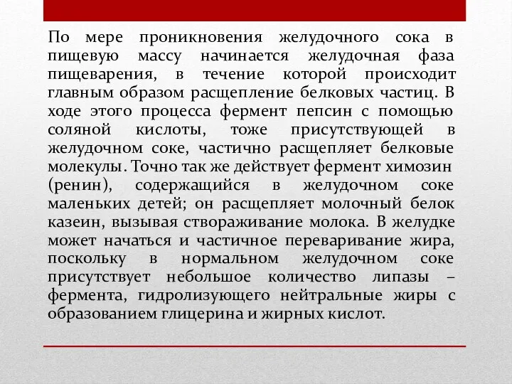 По мере проникновения желудочного сока в пищевую массу начинается желудочная