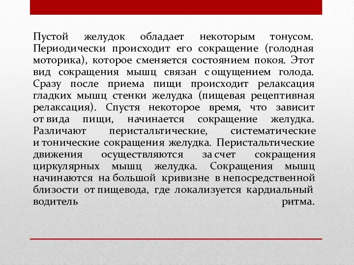 Пустой желудок обладает некоторым тонусом. Периодически происходит его сокращение (голодная