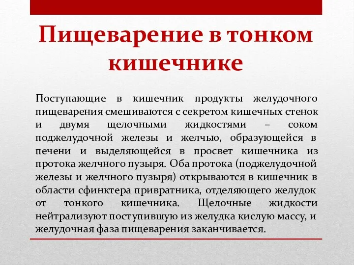 Пищеварение в тонком кишечнике Поступающие в кишечник продукты желудочного пищеварения смешиваются с секретом