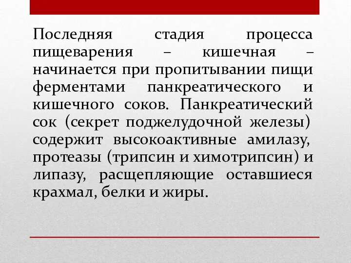 Последняя стадия процесса пищеварения – кишечная – начинается при пропитывании