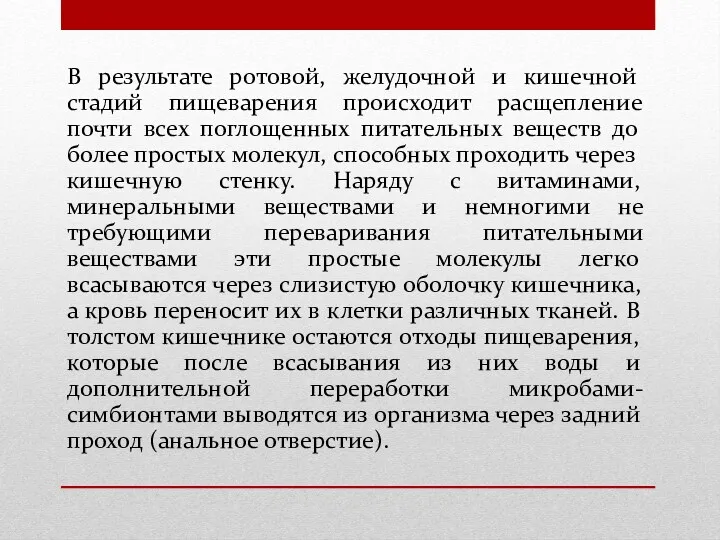 В результате ротовой, желудочной и кишечной стадий пищеварения происходит расщепление почти всех поглощенных