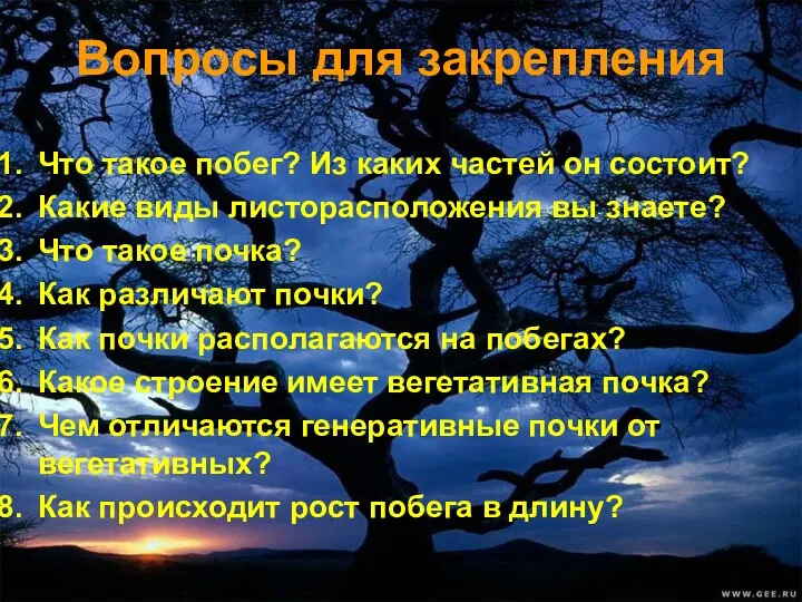 Вопросы для закрепления Что такое побег? Из каких частей он