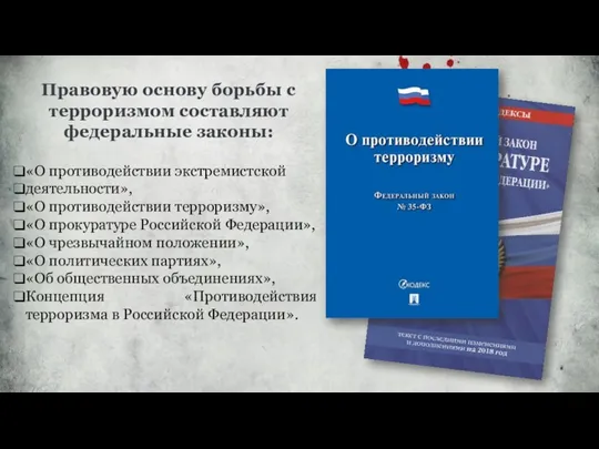 «О противодействии экстремистской деятельности», «О противодействии терроризму», «О прокуратуре Российской