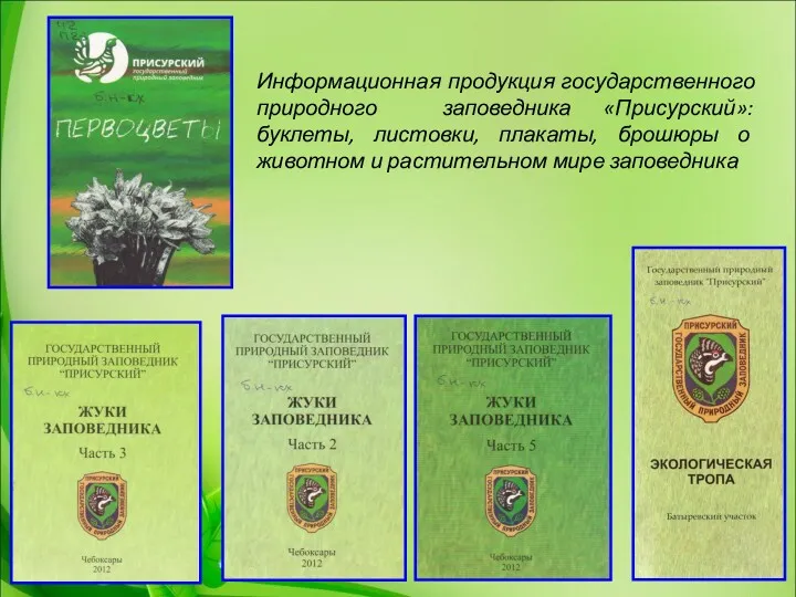 Информационная продукция государственного природного заповедника «Присурский»: буклеты, листовки, плакаты, брошюры о животном и растительном мире заповедника