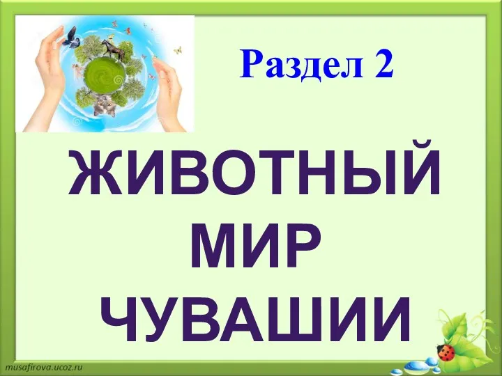 ЖИВОТНЫЙ МИР ЧУВАШИИ Раздел 2