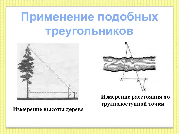 Применение подобных треугольников Измерение высоты дерева Измерение расстояния до труднодоступной точки