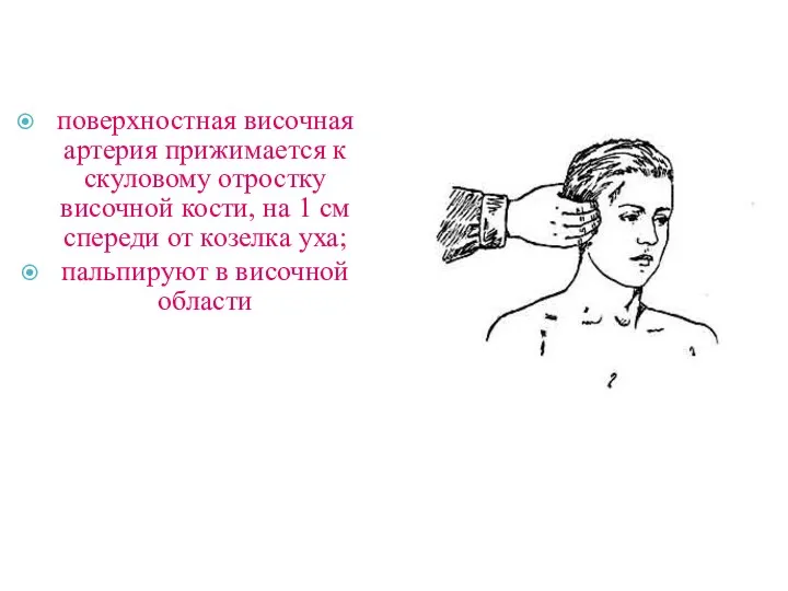 поверхностная височная артерия прижимается к скуловому отростку височной кости, на