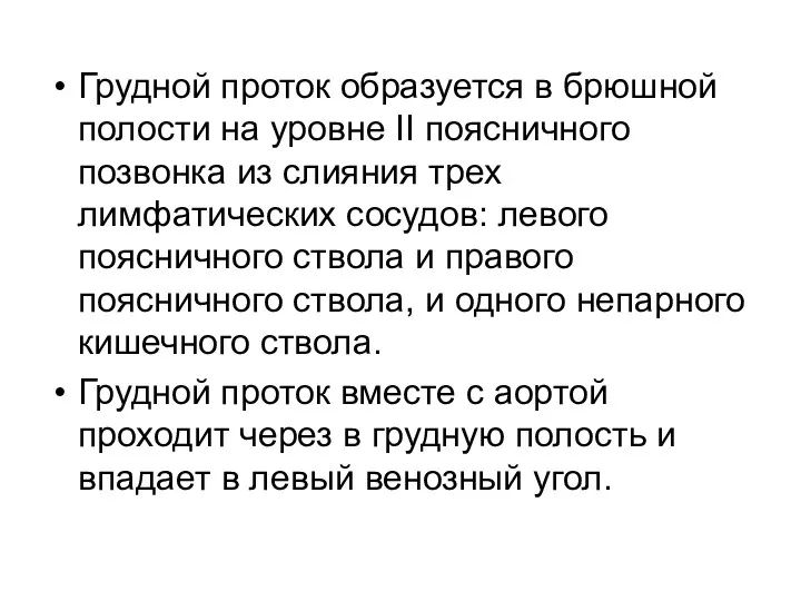 Грудной проток образуется в брюшной полости на уровне II поясничного