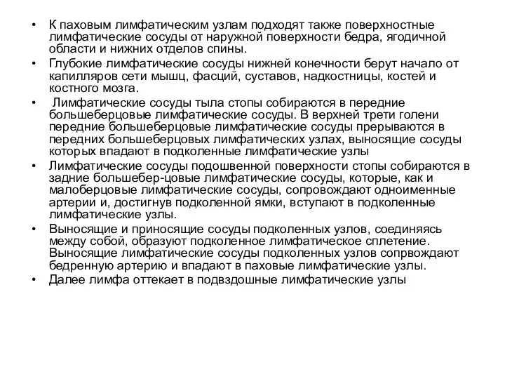 К паховым лимфатическим узлам подходят также поверхностные лимфатические сосуды от