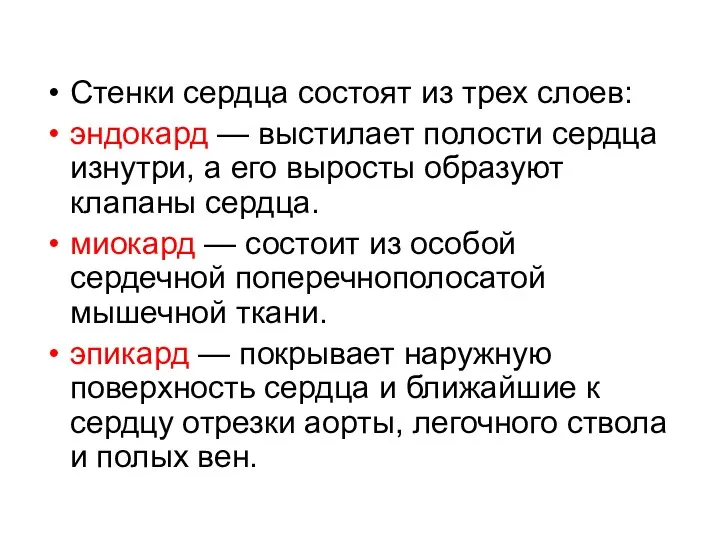 Стенки сердца состоят из трех слоев: эндокард — выстилает полости