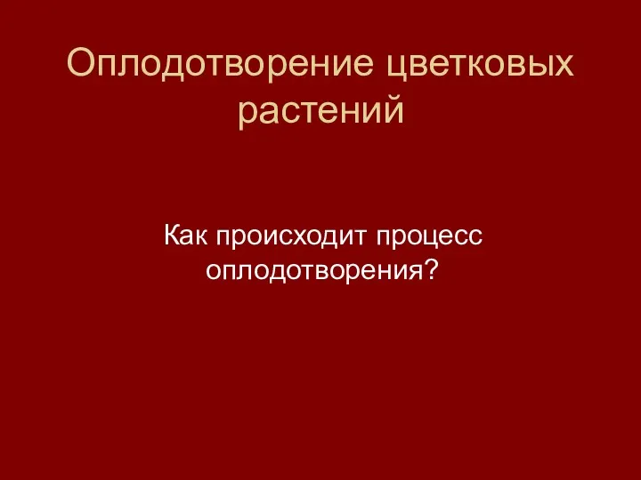 Оплодотворение цветковых растений Как происходит процесс оплодотворения?