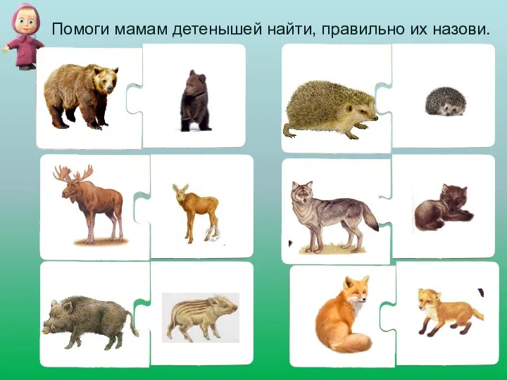 Помоги мамам детенышей найти, правильно их назови.