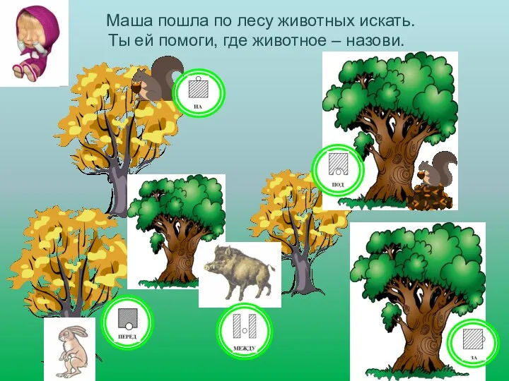 Маша пошла по лесу животных искать. Ты ей помоги, где животное – назови.