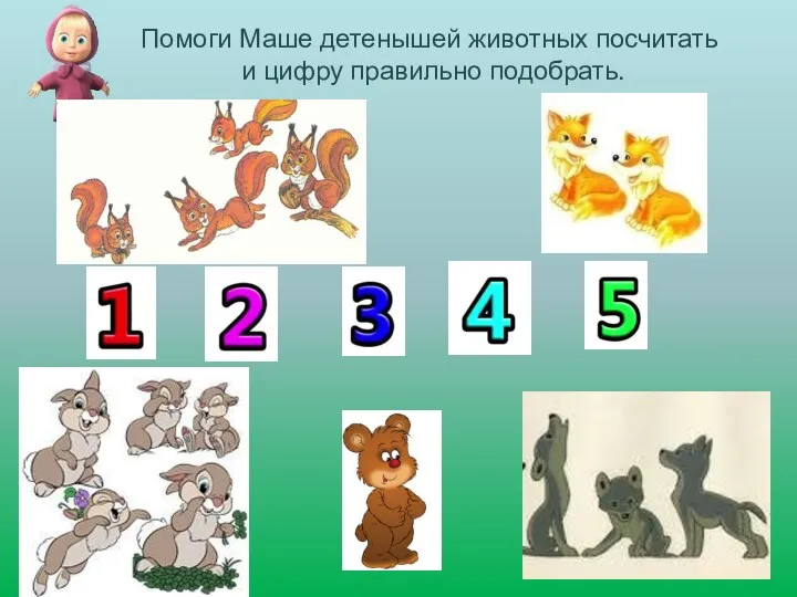 Помоги Маше детенышей животных посчитать и цифру правильно подобрать.