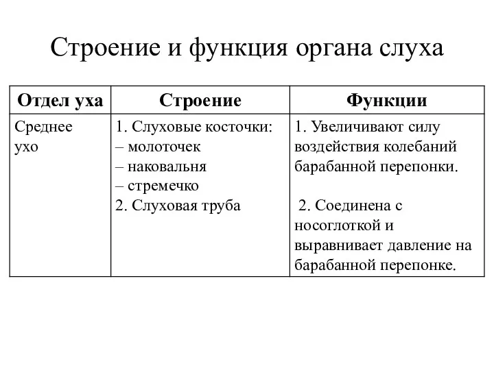 Строение и функция органа слуха