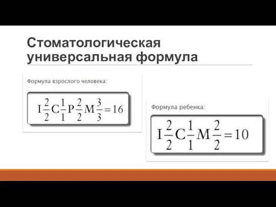 Стоматологическая универсальная формула