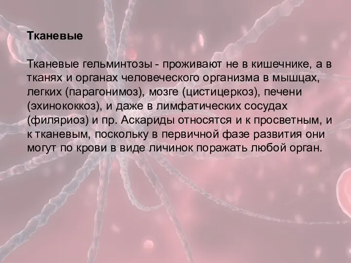 Тканевые Тканевые гельминтозы - проживают не в кишечнике, а в