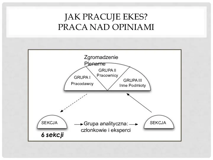 JAK PRACUJE EKES? PRACA NAD OPINIAMI 6 sekcji Zgromadzenie Plenarne