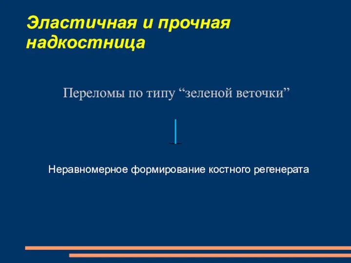 Эластичная и прочная надкостница Переломы по типу “зеленой веточки” Неравномерное формирование костного регенерата