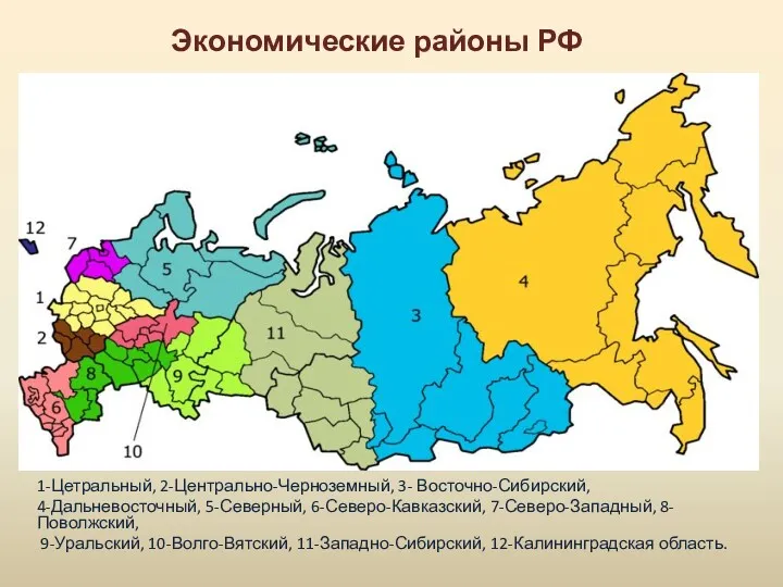 Экономические районы РФ 1-Цетральный, 2-Центрально-Черноземный, 3- Восточно-Сибирский, 4-Дальневосточный, 5-Северный, 6-Северо-Кавказский,