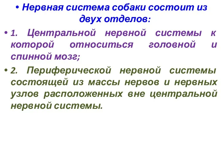 Нервная система собаки состоит из двух отделов: 1. Центральной нервной