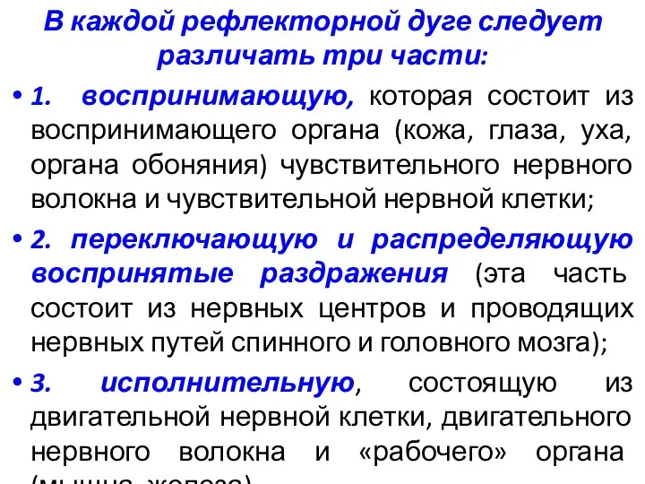 В каждой рефлекторной дуге следует различать три части: 1. воспринимающую,