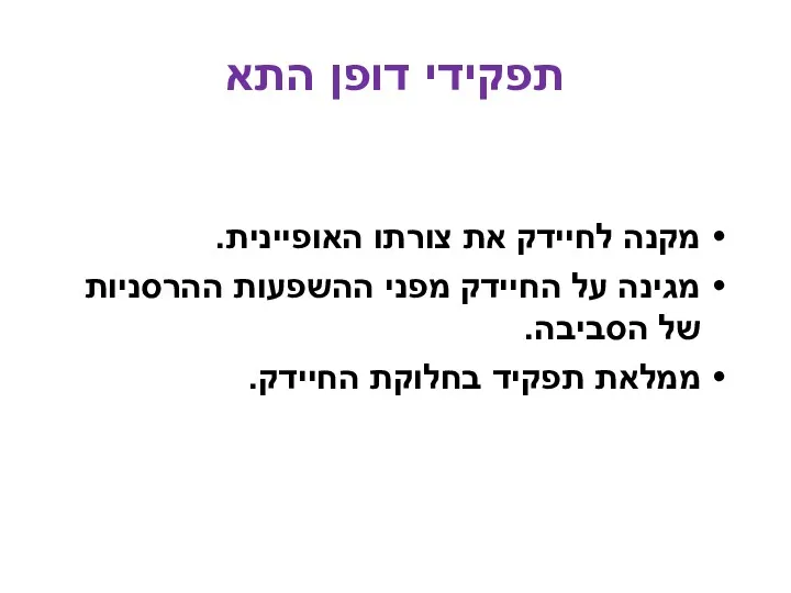 מקנה לחיידק את צורתו האופיינית. מגינה על החיידק מפני ההשפעות ההרסניות של הסביבה.