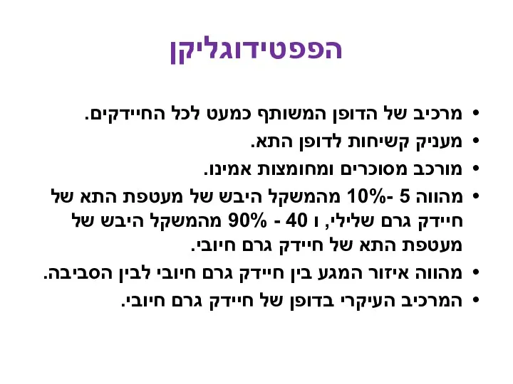 מרכיב של הדופן המשותף כמעט לכל החיידקים. מעניק קשיחות לדופן התא. מורכב מסוכרים