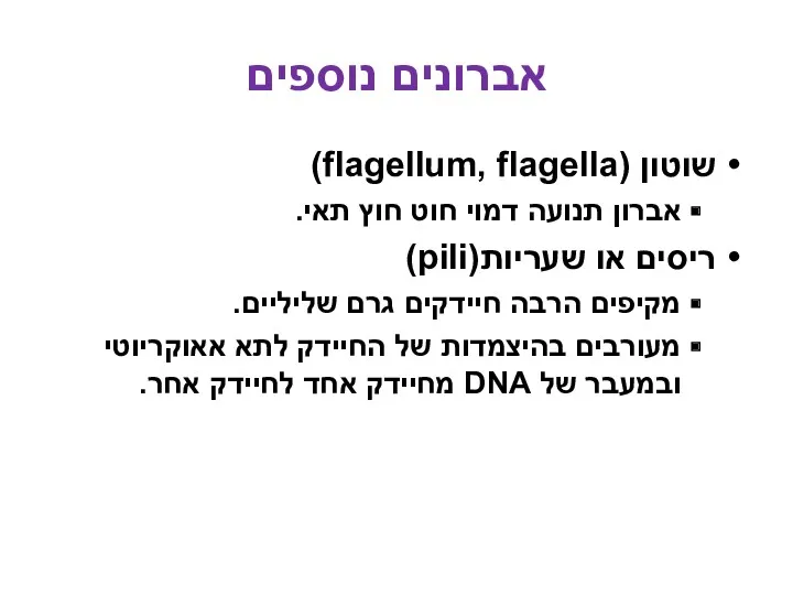 אברונים נוספים שוטון (flagellum, flagella) אברון תנועה דמוי חוט חוץ תאי. ריסים או