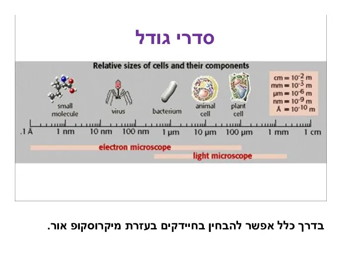 בדרך כלל אפשר להבחין בחיידקים בעזרת מיקרוסקופ אור. סדרי גודל