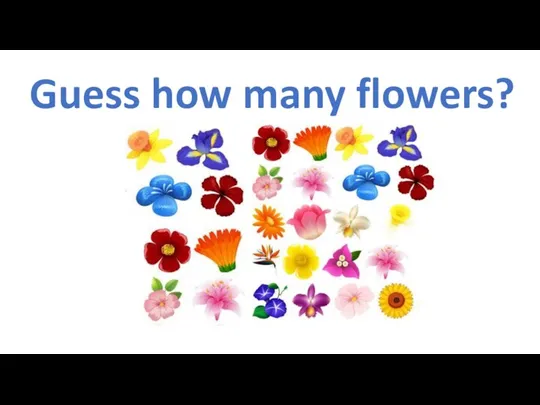 Guess how many flowers?