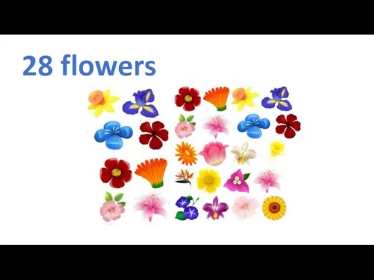 28 flowers