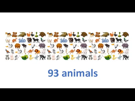 93 animals