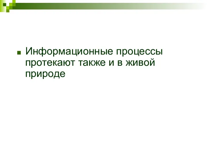 Информационные процессы протекают также и в живой природе