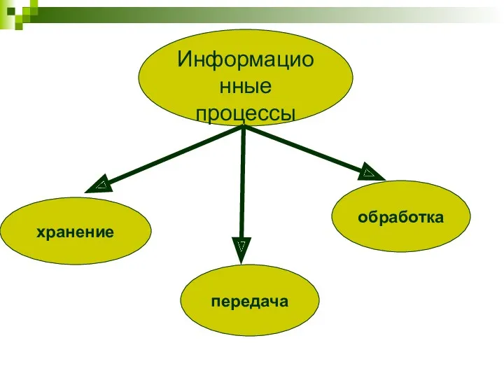 Информационные процессы хранение передача обработка