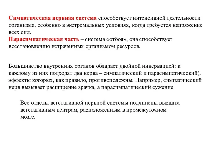 Симпатическая нервная система способствует интенсивной деятельности организма, особенно в экстремальных