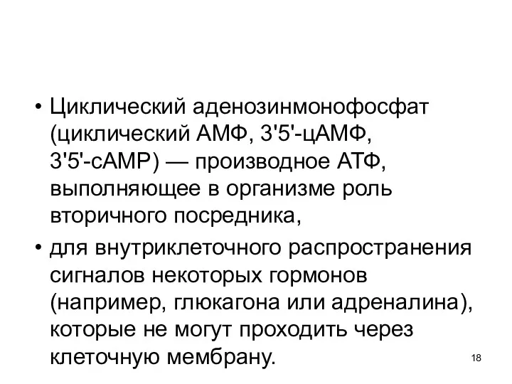 Циклический аденозинмонофосфат (циклический AMФ, 3'5'-цAMФ, 3'5'-cAMP) — производное АТФ, выполняющее