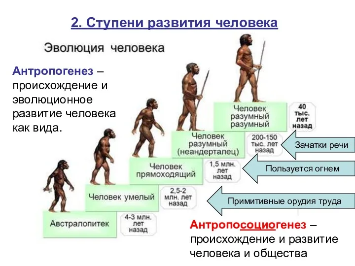 2. Ступени развития человека Пользуется огнем Зачатки речи Примитивные орудия