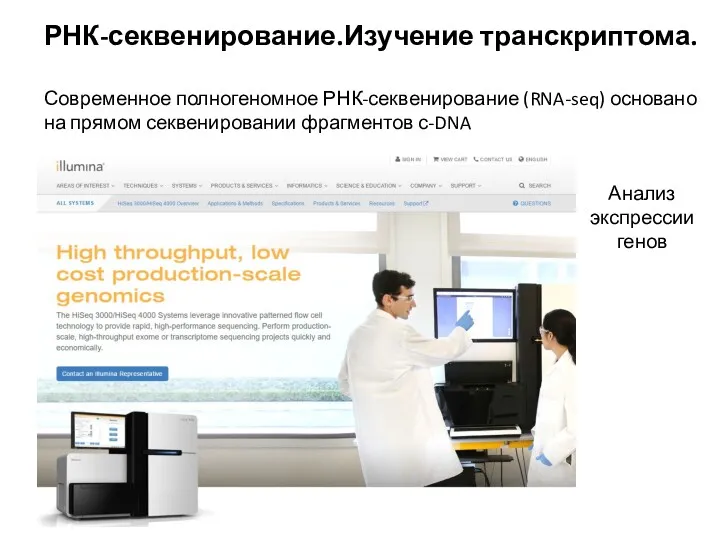 РНК-секвенирование.Изучение транскриптома. Современное полногеномное РНК-секвенирование (RNA-seq) основано на прямом секвенировании фрагментов с-DNA Анализ экспрессии генов