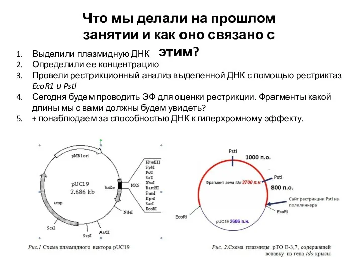 Что мы делали на прошлом занятии и как оно связано