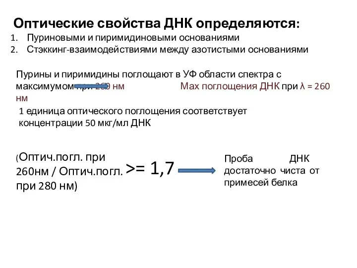 Оптические свойства ДНК определяются: Пуриновыми и пиримидиновыми основаниями Стэккинг-взаимодействиями между