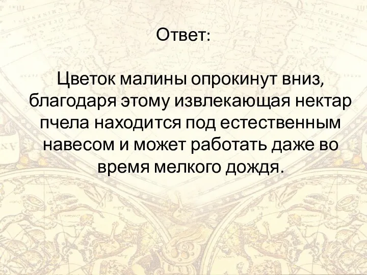 Ответ: Цветок малины опрокинут вниз, благодаря этому извлекающая нектар пчела