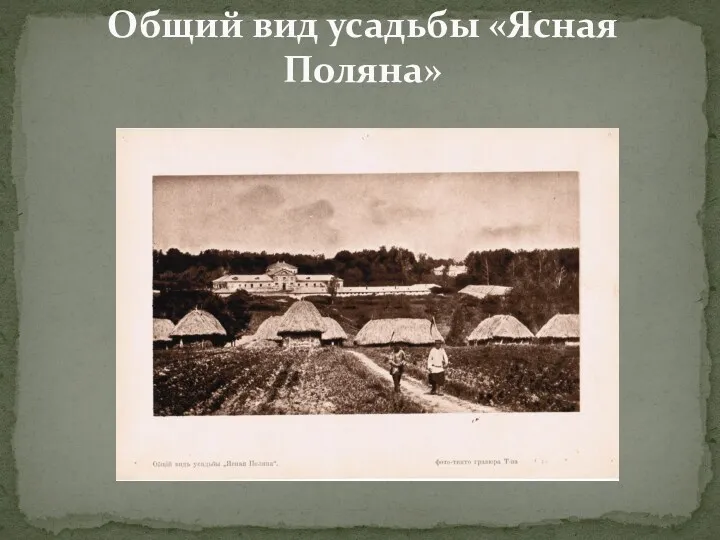 Общий вид усадьбы «Ясная Поляна»