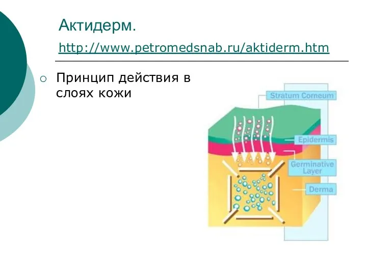 Актидерм. http://www.petromedsnab.ru/aktiderm.htm Принцип действия в слоях кожи