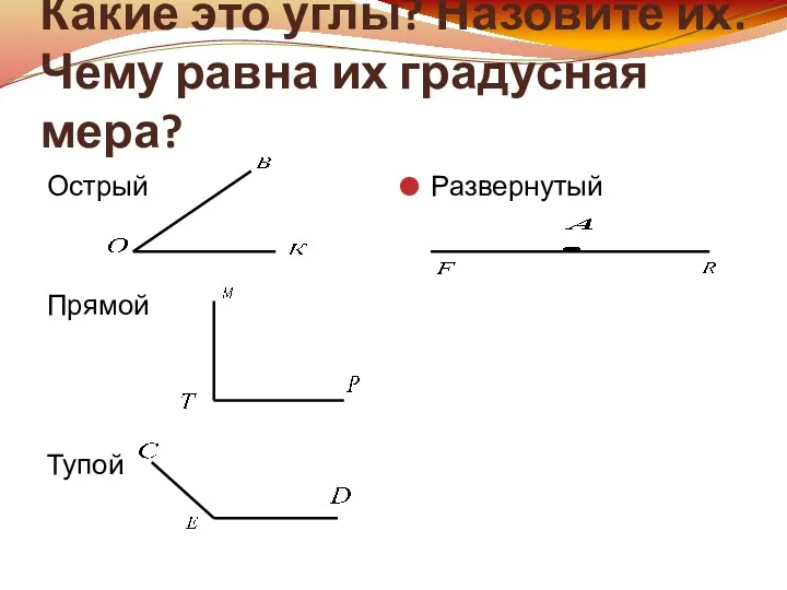 Какие это углы? Назовите их. Чему равна их градусная мера? Острый Прямой Тупой Развернутый