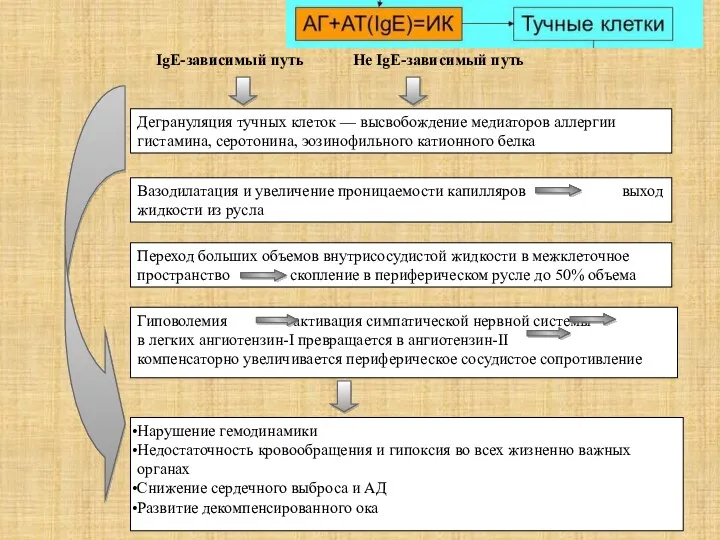 Дегрануляция тучных клеток — высвобождение медиаторов аллергии гистамина, серотонина, эозинофильного