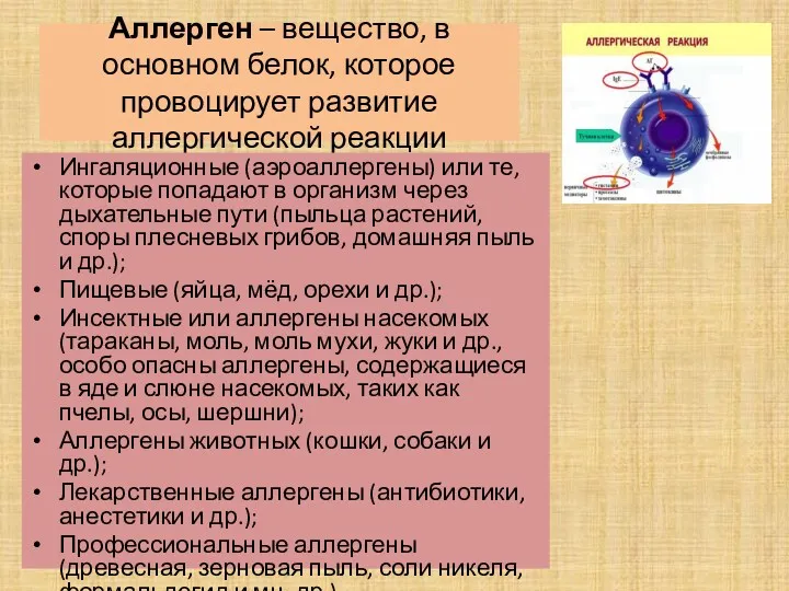 Аллерген – вещество, в основном белок, которое провоцирует развитие аллергической