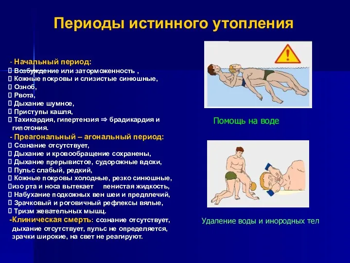 Периоды истинного утопления Начальный период: Возбуждение или заторможенность , Кожные покровы и слизистые