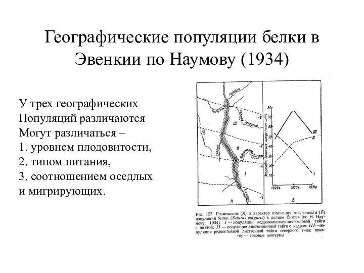 Географические популяции белки в Эвенкии по Наумову (1934) У трех