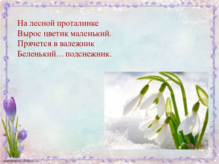 На лесной проталинке Вырос цветик маленький. Прячется в валежник Беленький… подснежник.